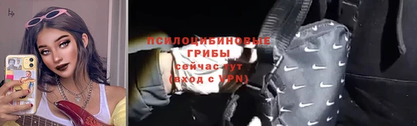 ECSTASY Каменка