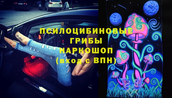 ECSTASY Каменка