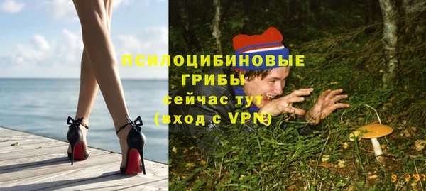 ALPHA PVP Каменногорск